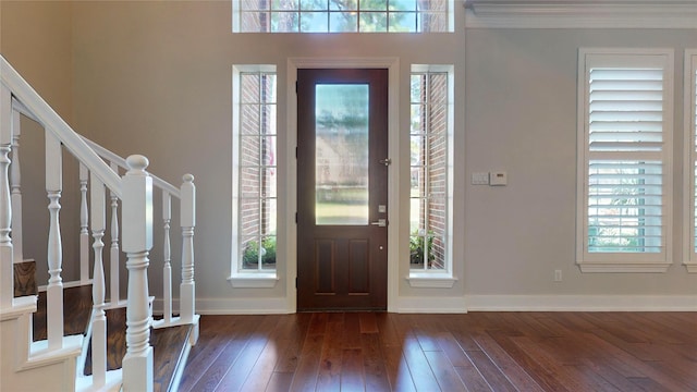 foyer entrance with dark hardwood / wood-style flooring and plenty of natural light