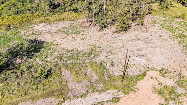 016 Falcon Pt, Onalaska, TX 77360