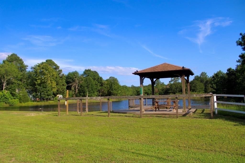 26849 Deerwood Dr, Hempstead, TX 77445 - photo 2