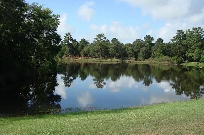 26849 Deerwood Dr, Hempstead, TX 77445 - photo 3