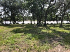 0 County Road 306, Brazoria TX, 77422 land for sale