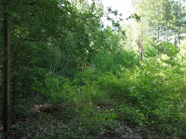 view of local wilderness