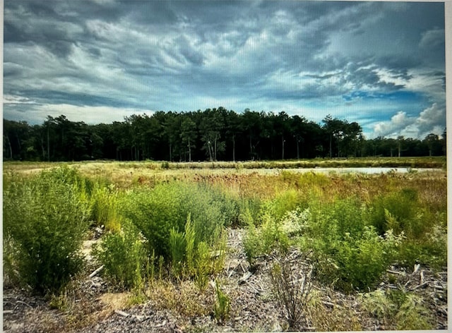 TBDLOT8 County Road 2184, Cleveland TX, 77327 land for sale