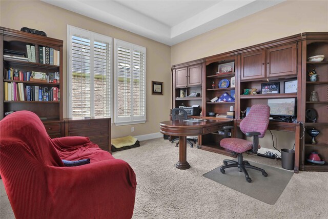 office area featuring light carpet