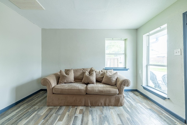 living room with hardwood / wood-style flooring