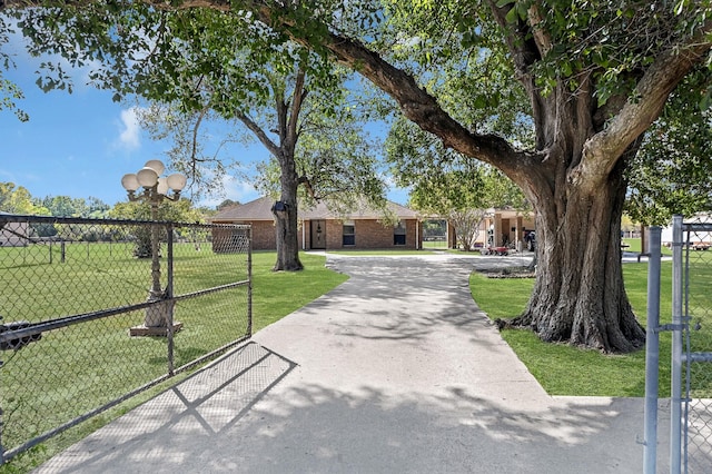 20003 Bauer Hockley Rd, Tomball, TX 77377 - ranch-style home with brick siding, a front yard, and fence