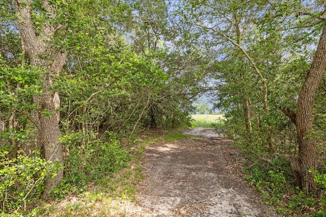 880 N Weyand Rd, Round Top TX, 78954 land for sale