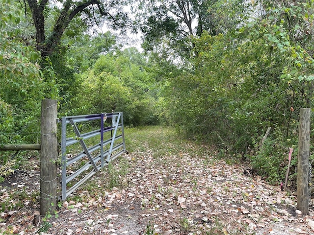 0 Mangum Rd, Hungerford TX, 77448 land for sale