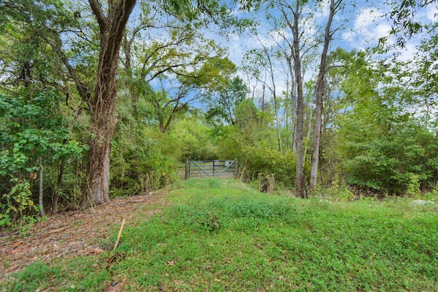 0 Mangum Rd, Hungerford, TX 77448