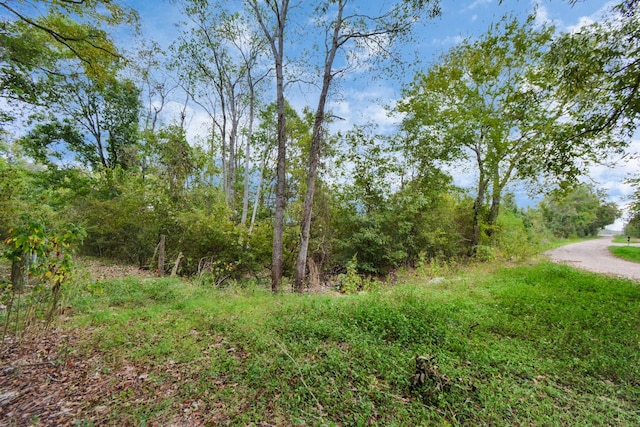 0 Mangum Rd, Hungerford, TX 77448