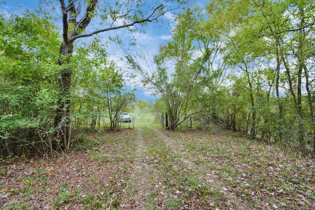 0 Mangum Rd, Hungerford, TX 77448