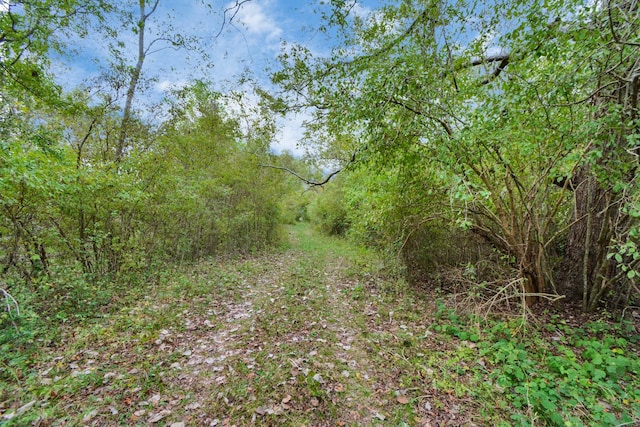 0 Mangum Rd, Hungerford, TX 77448