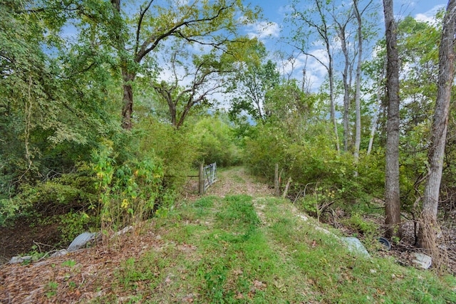 0 Mangum Rd, Hungerford, TX 77448