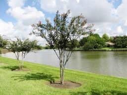 view of water feature