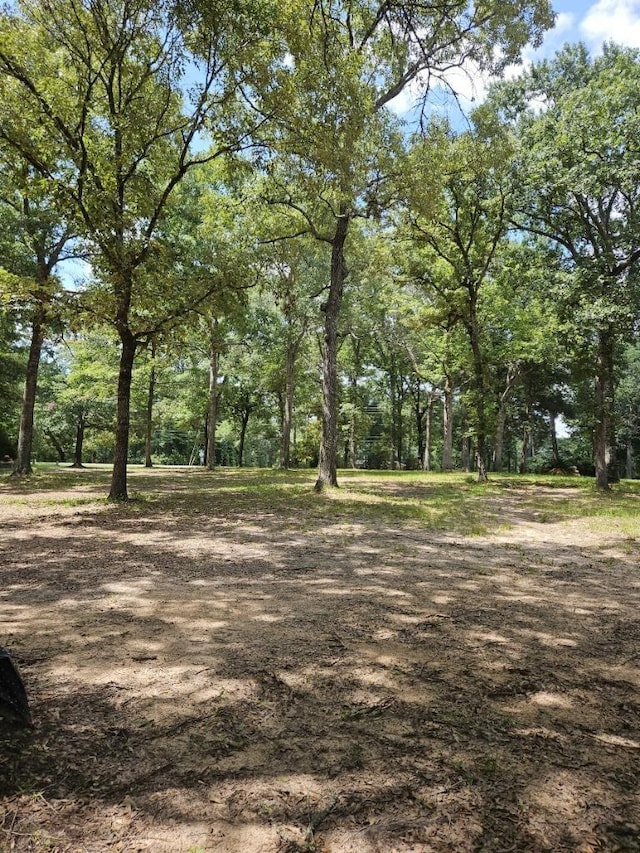300 Cheyenne Rd, Conroe, TX 77316 - photo 1