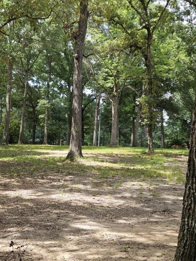 300 Cheyenne Rd, Conroe, TX 77316 - photo 5