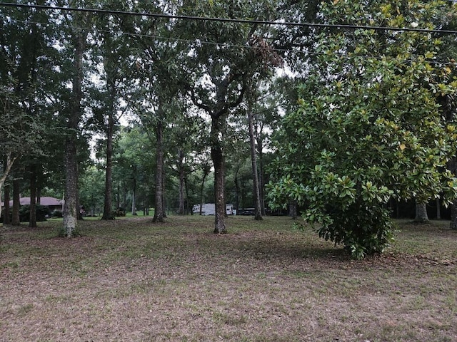 300 Cheyenne Rd, Conroe, TX 77316 - photo 6