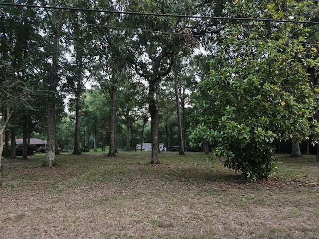 300 Cheyenne Rd, Conroe, TX 77316 - photo 7