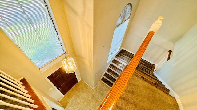 staircase with carpet flooring