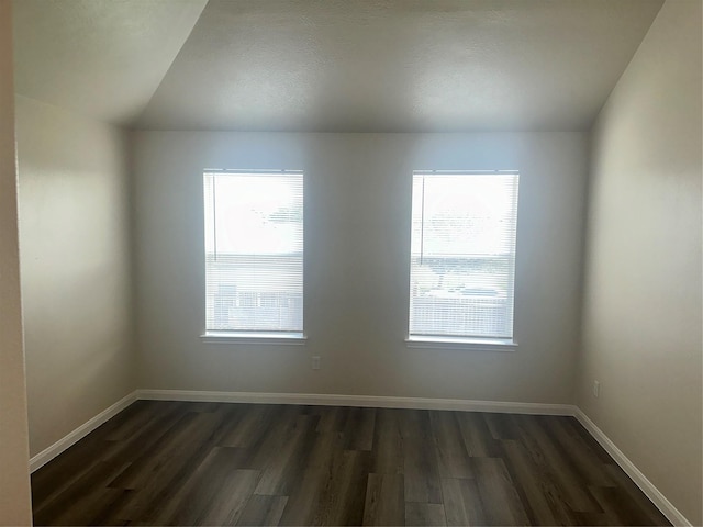 empty room with lofted ceiling, a wealth of natural light, and dark hardwood / wood-style floors