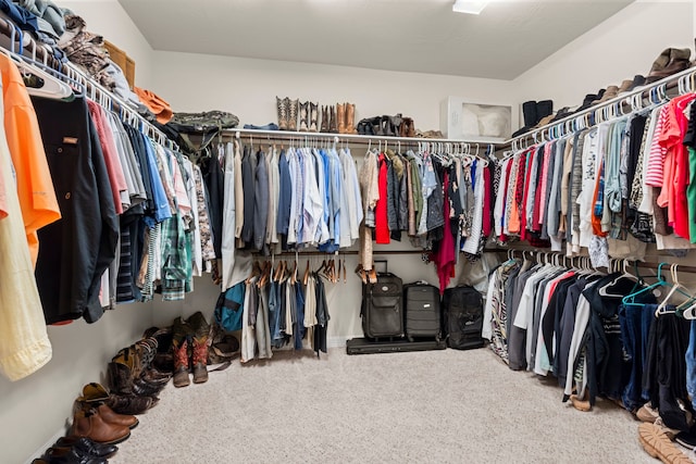 spacious closet with carpet flooring