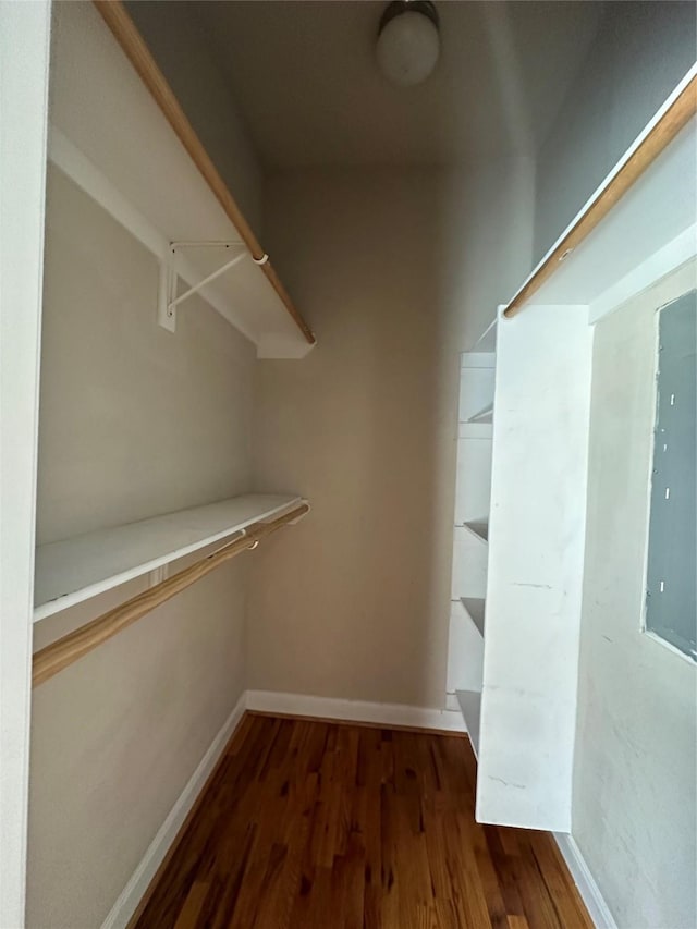 spacious closet featuring electric panel and dark wood-type flooring