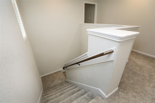 stairway featuring carpet flooring