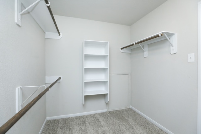 spacious closet with light colored carpet