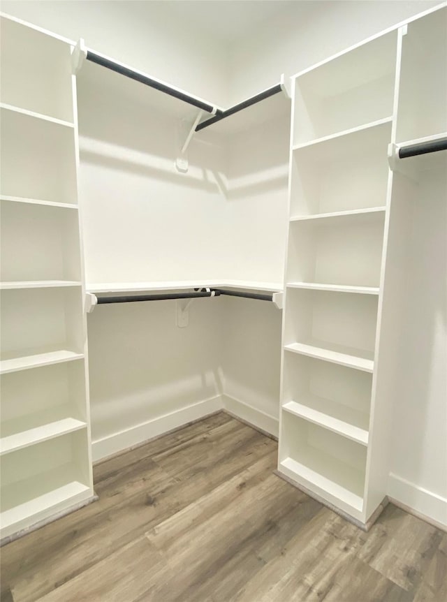 spacious closet with wood-type flooring