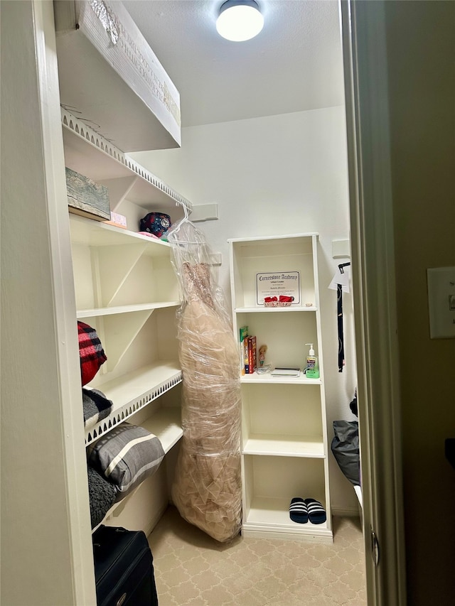 view of spacious closet