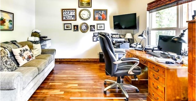 office area featuring wood-type flooring