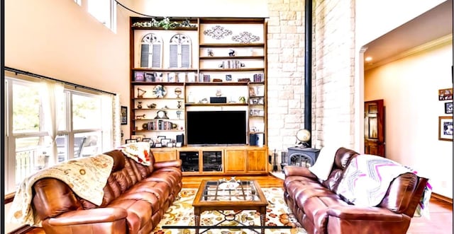 living room featuring wood-type flooring and a wood stove