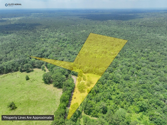 894 County Road 144, Jasper, TX 75951 - birds eye view of property