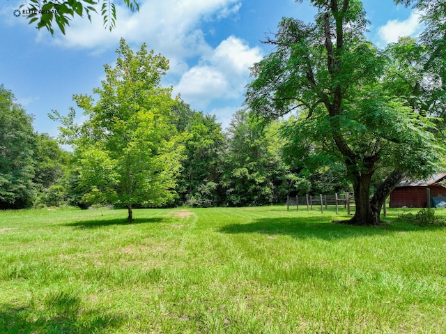 894 County Road 144, Jasper, TX 75951 - view of yard