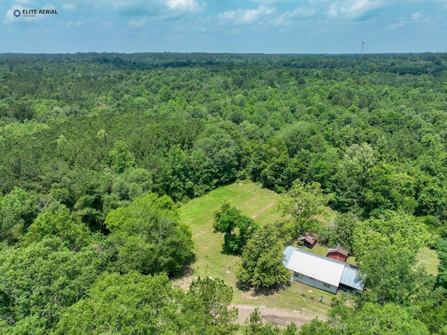 894 County Road 144, Jasper, TX 75951 - drone / aerial view