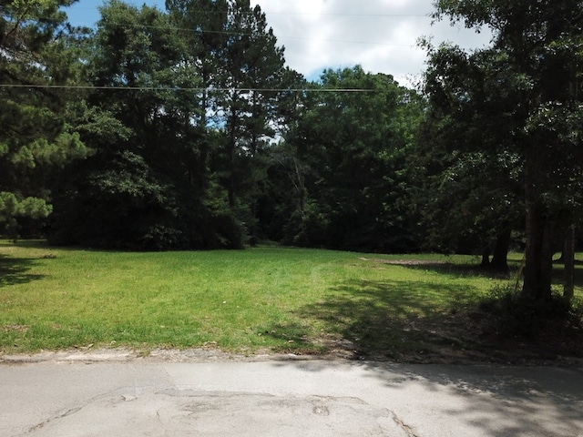 Listing photo 3 for TBD N Nellius, Woodville TX 75979