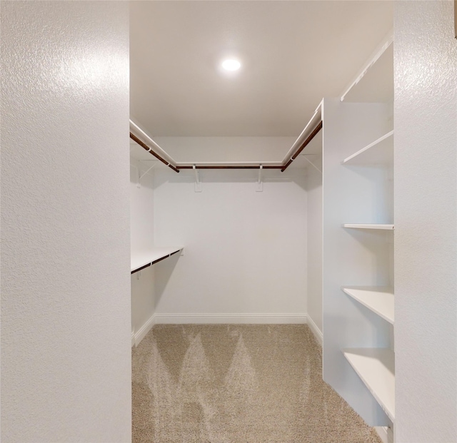 walk in closet featuring carpet flooring