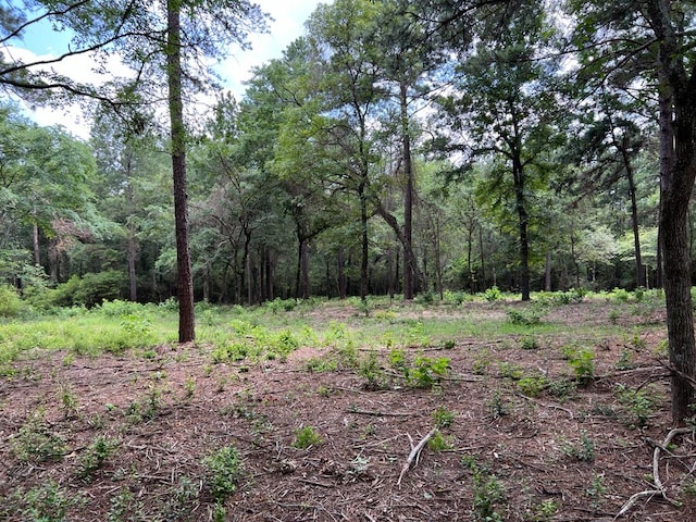 Listing photo 2 for TBD County Road 302, Plantersville TX 77363