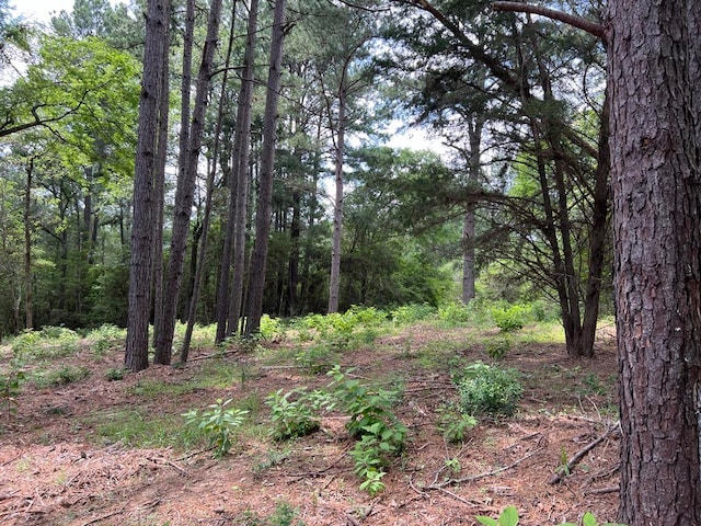 Listing photo 3 for TBD County Road 302, Plantersville TX 77363