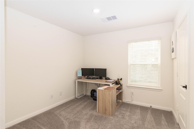 office area featuring a healthy amount of sunlight and carpet flooring