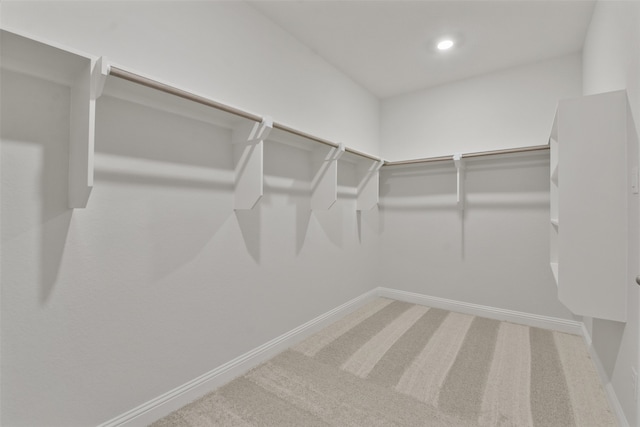 walk in closet featuring carpet