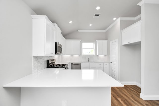 kitchen featuring kitchen peninsula, sink, and appliances with stainless steel finishes