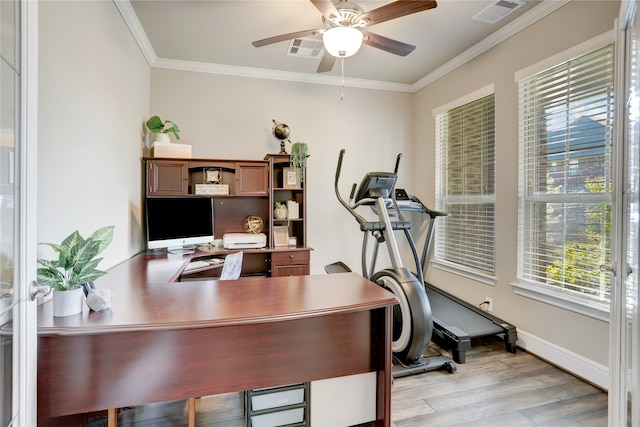 office featuring light hardwood / wood-style floors, ceiling fan, and ornamental molding