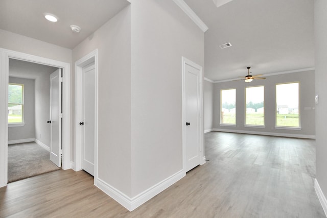 hall featuring a healthy amount of sunlight, light hardwood / wood-style floors, and ornamental molding