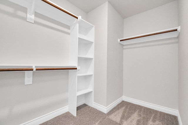 spacious closet with light carpet