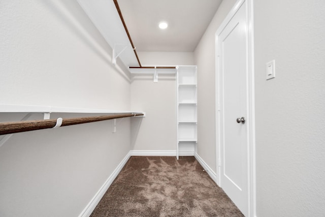 walk in closet with carpet flooring