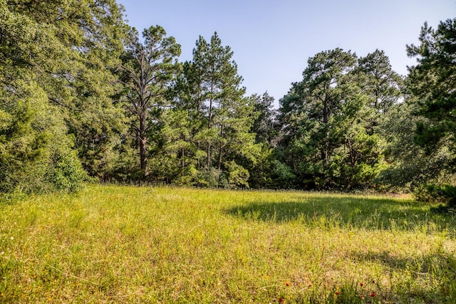 Listing photo 3 for TBD(15.682Acres) Stockade Ranch Road, Paige TX 78659