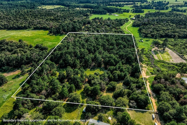 TBD(15.682Acres) Stockade Ranch Road, Paige TX, 78659 land for sale