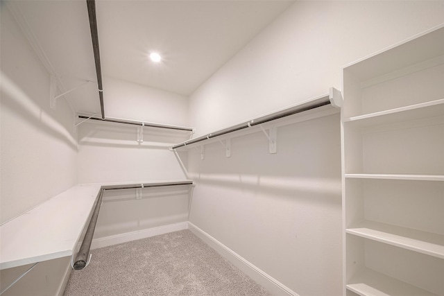 walk in closet featuring light carpet