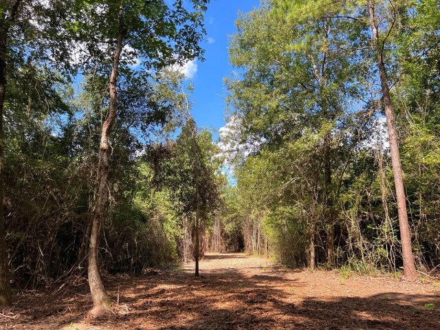 03 Eugene Walker Rd, Huntington, TX 75980 - photo 1